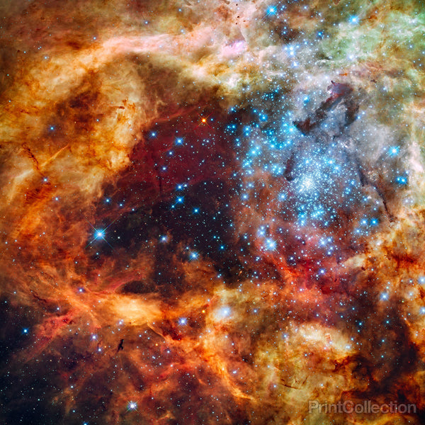 30 Doradus in Ultraviolet, Visible, and Red Light 30 Doradus in Ultraviolet, Visible, and Red Light