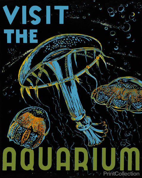 Visit the Aquarium Visit the Aquarium