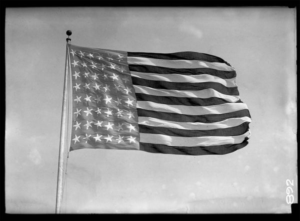 Battle Fleet Flag Battle Fleet Flag