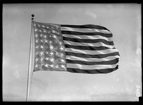 Battle Fleet Flag Battle Fleet Flag