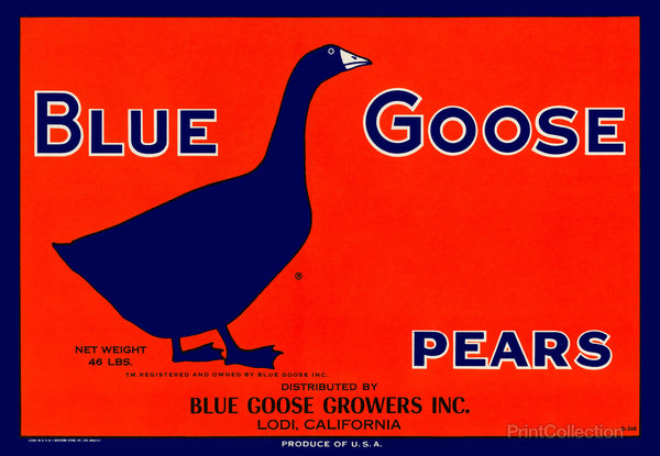 Blue Goose Pears Blue Goose Pears