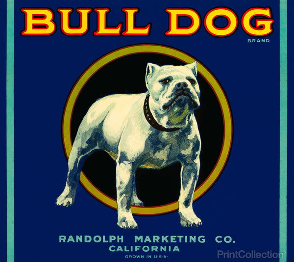 Bull Dog Brand Bull Dog Brand