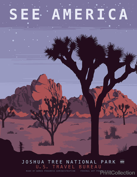 See America, Joshua Tree National Park See America, Joshua Tree National Park