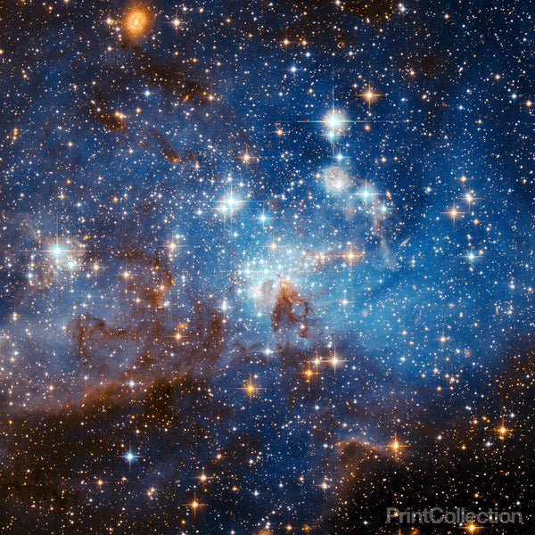 Large Magellanic Cloud, LH 95 Large Magellanic Cloud, LH 95