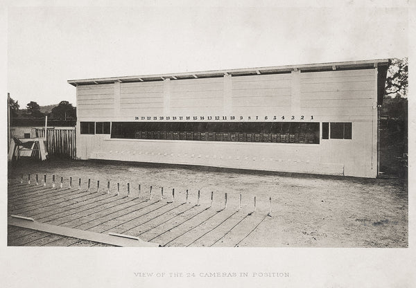 View of Muybridge 24 Camera Set-Up View of Muybridge 24 Camera Set-Up