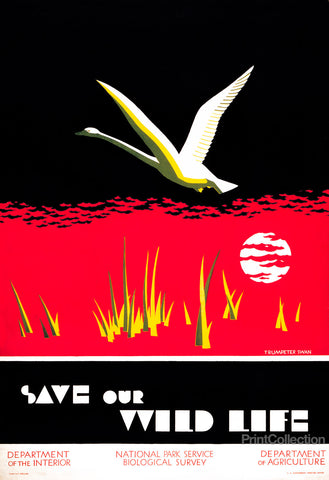 Save our Wildlife Save our Wildlife