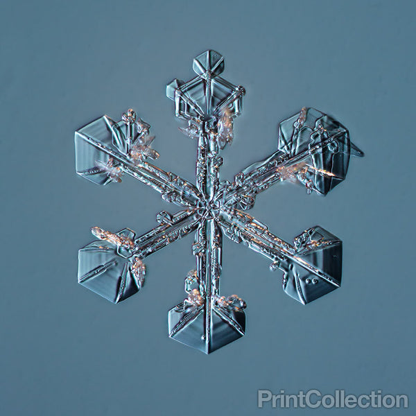 Sectored Plate Snowflake 001.3.23.2014 Sectored Plate Snowflake 001.3.23.2014