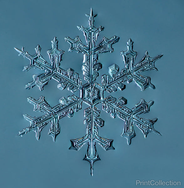 Stellar Dendrite Snowflake 002.03.24.2014 Stellar Dendrite Snowflake 002.03.24.2014
