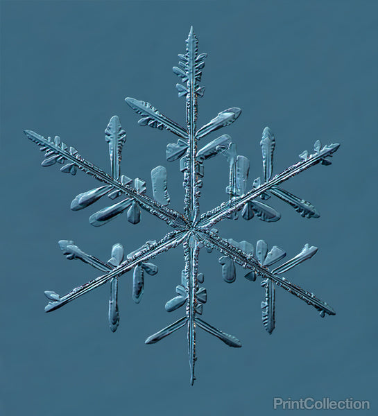Stellar Dendrite Snowflake 004.03.24.2014 Stellar Dendrite Snowflake 004.03.24.2014