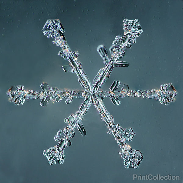 Stellar Dendrite Snowflake 004.2.14.2014 Stellar Dendrite Snowflake 004.2.14.2014