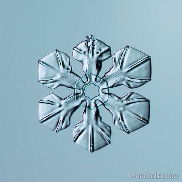 Sectored Plate Snowflake 004.2.16.2014 Sectored Plate Snowflake 004.2.16.2014