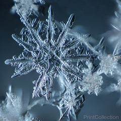 Snowflake 007.2.9.2014 Snowflake 007.2.9.2014
