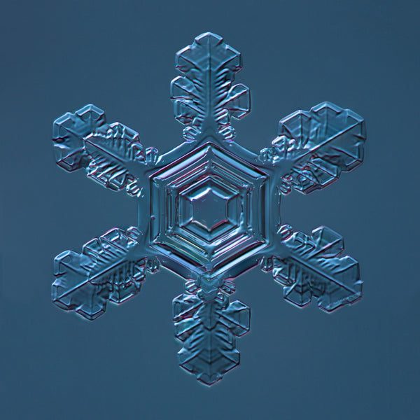 Stellar Plate Snowflake 2015.02.04.001