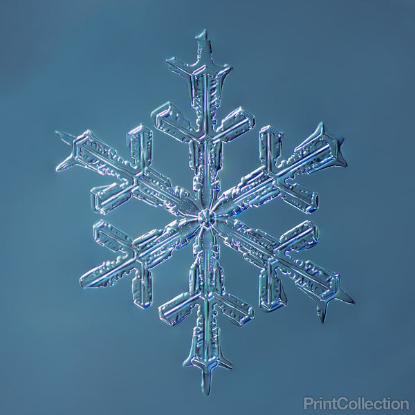Stellar Dendrite Snowflake 001.2.16.2014 Stellar Dendrite Snowflake 001.2.16.2014