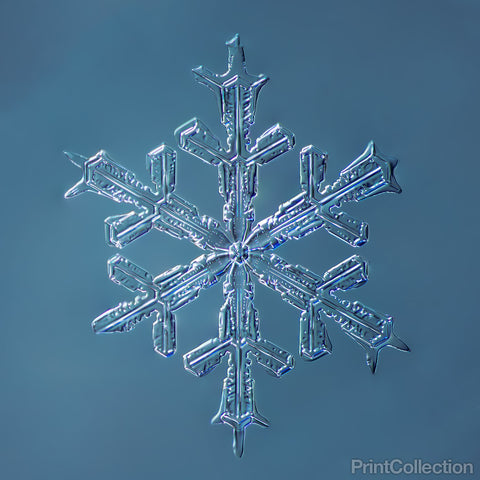 Stellar Dendrite Snowflake 001.2.16.2014