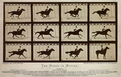 The Horse in Motion The Horse in Motion