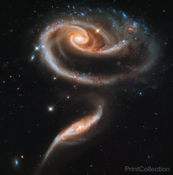 A "Rose" Made of Galaxies Highlights Hubble's 21st Anniversary A "Rose" Made of Galaxies Highlights Hubble's 21st Anniversary