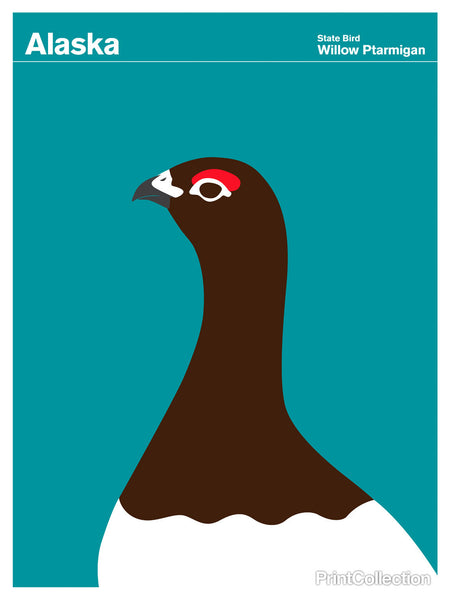 Alaska Willow Ptarmigan Alaska Willow Ptarmigan