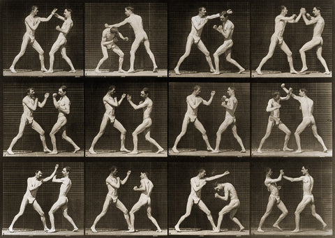 Animal Locomotion, 2 Men Boxing Animal Locomotion, 2 Men Boxing