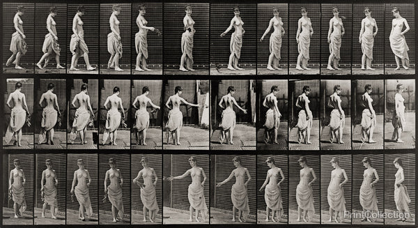 Animal Locomotion, Partially Nude Woman walking and turning Animal Locomotion, Partially Nude Woman walking and turning