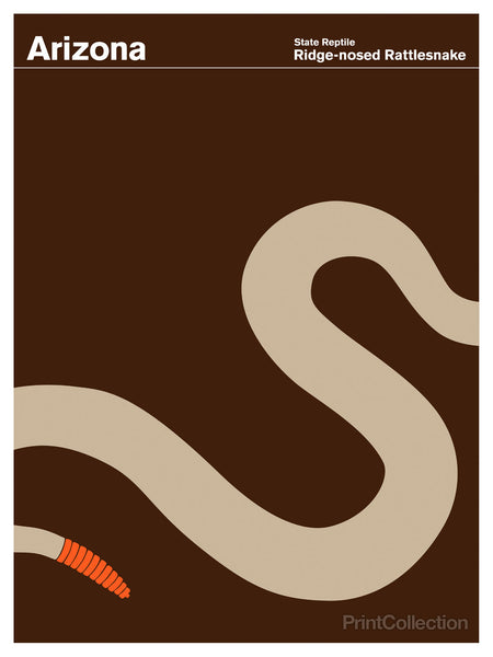 Arizona Ridge-nosed Rattlesnake Arizona Ridge-nosed Rattlesnake