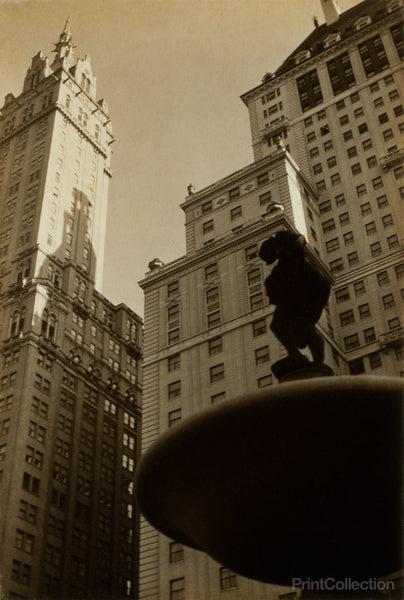 At the Plaza At the Plaza