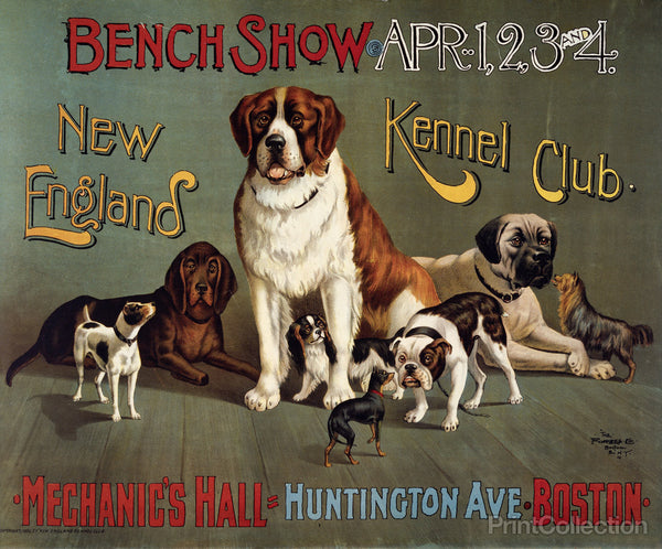 Bench Show. New England Kennel Club Bench Show. New England Kennel Club