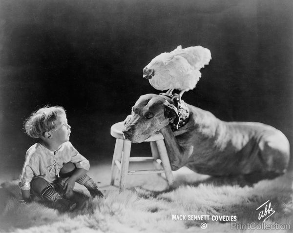 Boy Dog and Chicken = Funny Boy Dog and Chicken = Funny