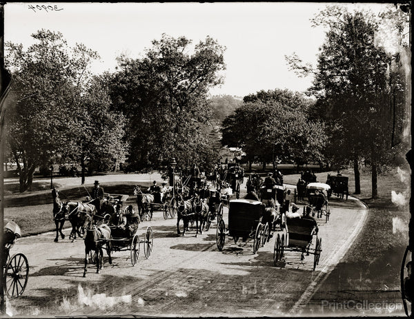 Carriage Ride in the Park Carriage Ride in the Park
