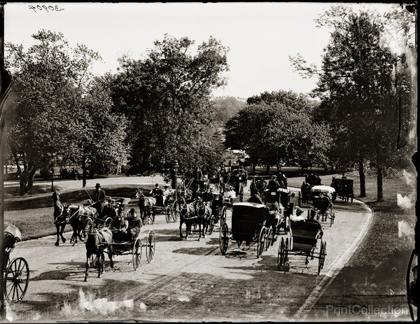 Carriage Ride in the Park Carriage Ride in the Park