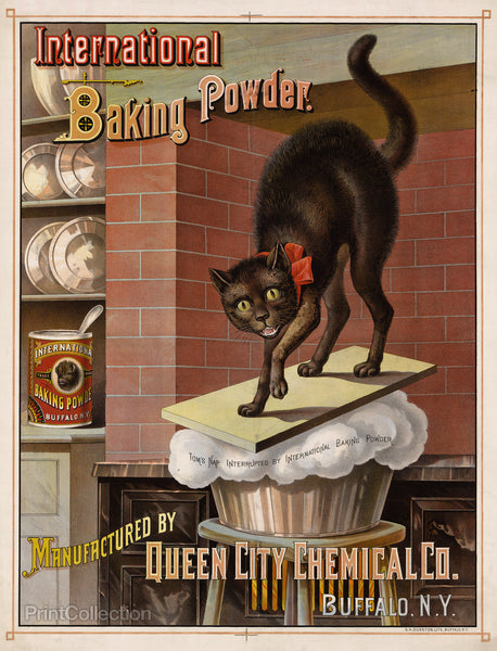 Catastrophe in the Kitchen, 1885 Catastrophe in the Kitchen, 1885