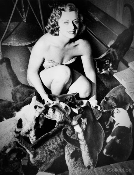 Cats Make Marriage go to the Dogs, Almost! Cats Make Marriage go to the Dogs, Almost!