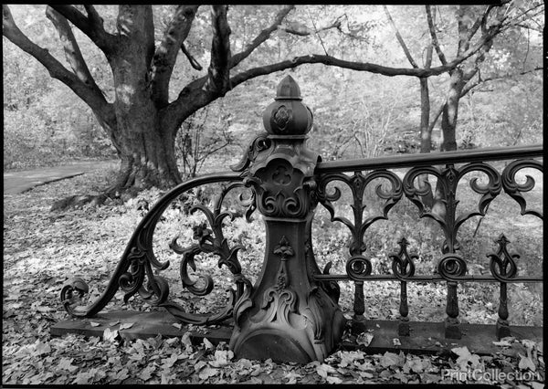 Central Park Bridge No. 27 Central Park Bridge No. 27