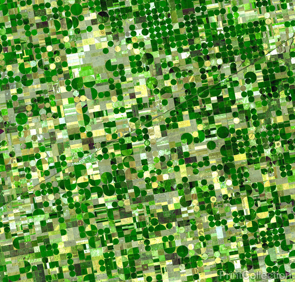Crop Circles in Kansas Crop Circles in Kansas