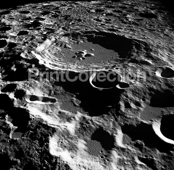 Daedalus Creator Daedalus Creator