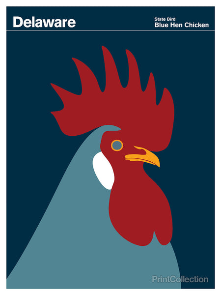 Delaware Blue Hen Chicken Delaware Blue Hen Chicken
