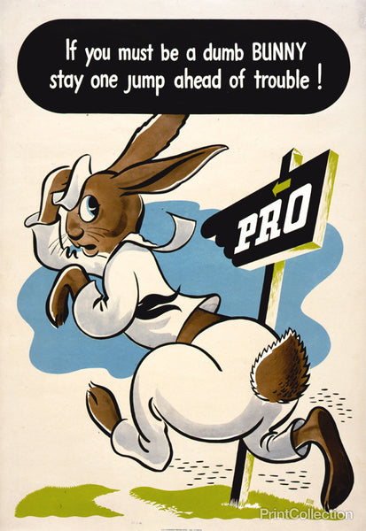 Dumb Bunny Dumb Bunny