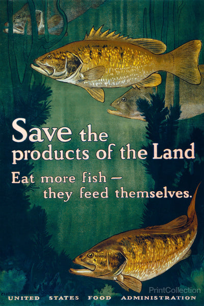 Eat More Fish Eat More Fish