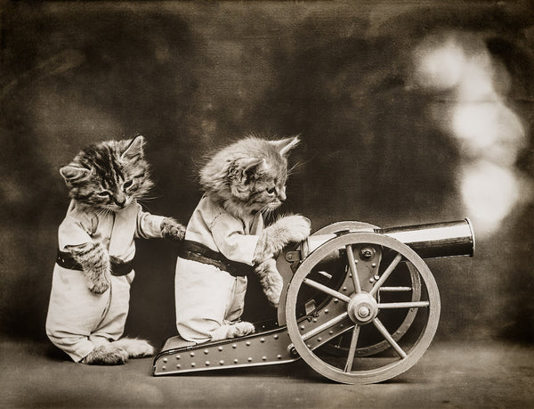 FIRE!, with Cats FIRE!, with Cats