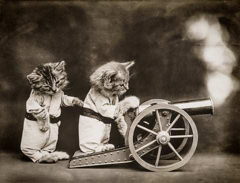 FIRE!, with Cats FIRE!, with Cats