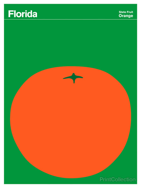 Florida Orange Florida Orange