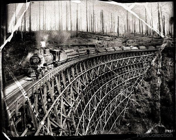 Forest or the Trees? Forest or the Trees?