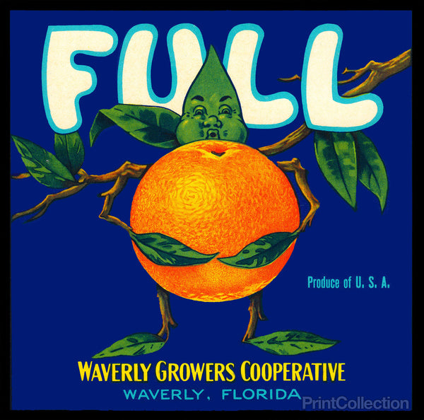 Full Florida Citrus Full Florida Citrus