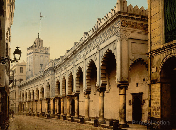 Great Mosque in the Marine Street, Algiers, Algeria Great Mosque in the Marine Street, Algiers, Algeria