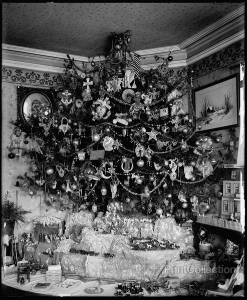 Hauck Christmas Tree, date unknown Hauck Christmas Tree, date unknown