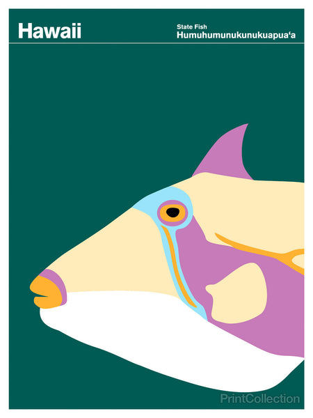 Hawaii Humuhumunukunukuapua'a Hawaii Humuhumunukunukuapua'a