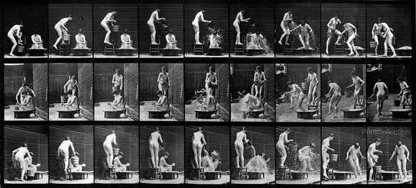 Human Females in Motion Nude Vol 4 - Plate 408 Human Females in Motion Nude Vol 4 - Plate 408