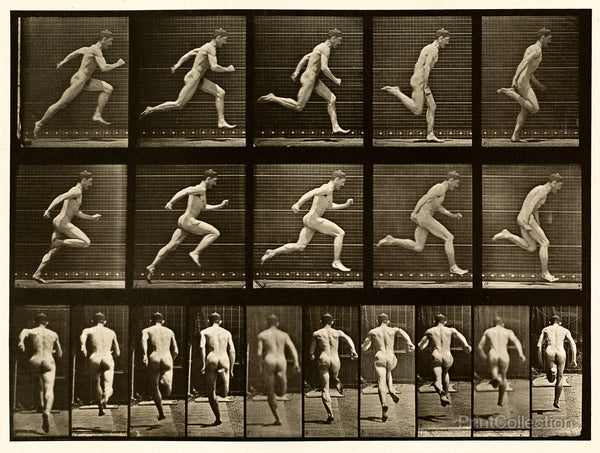 Human Males in Motion Nude Vol 1 - Plate 68 Human Males in Motion Nude Vol 1 - Plate 68