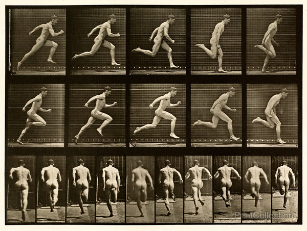 Human Males in Motion Nude Vol 1 - Plate 68