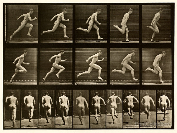 Human Males in Motion Nude Vol 1 - Plate 68 Human Males in Motion Nude Vol 1 - Plate 68